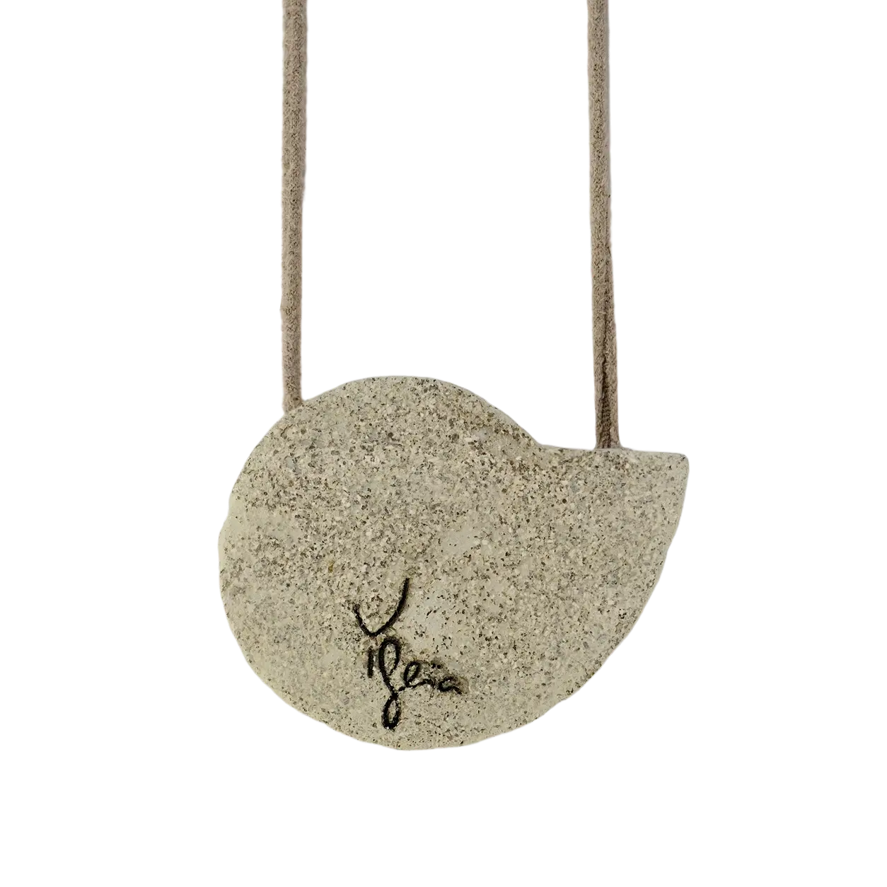 Fossil Voluta Calcaire